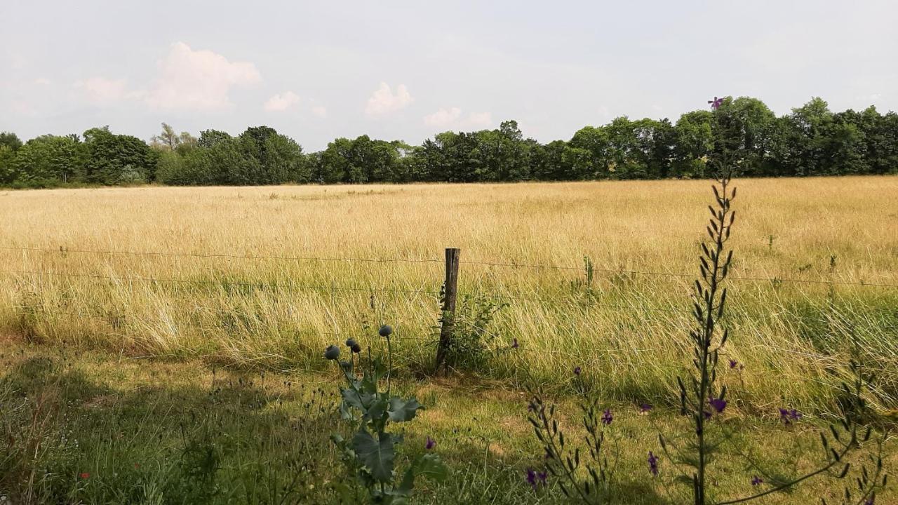 Biesboschbest Werkendam Kültér fotó