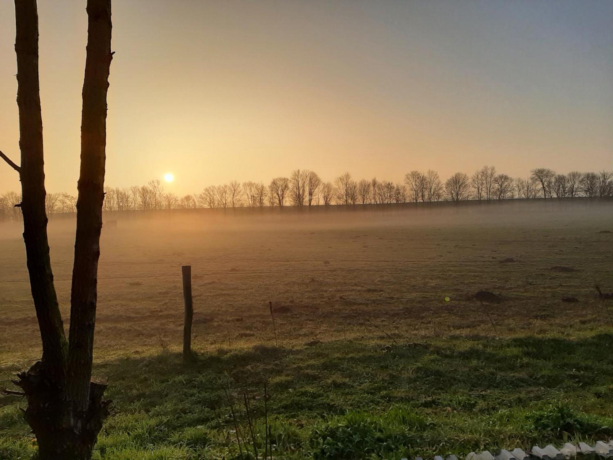 Biesboschbest Werkendam Kültér fotó